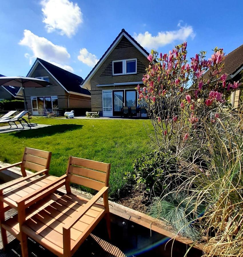 Europarcs Ijsselmeer Медемблик Стая снимка